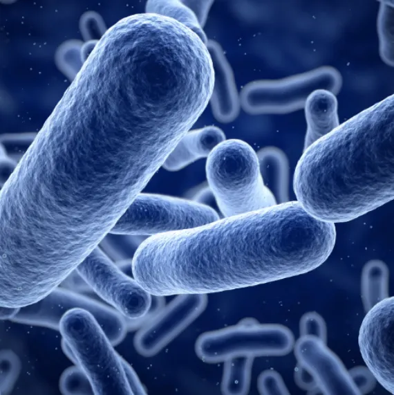 חיידקים במים הממחישים את הצורך בטיהור מים באמצעות ביוצידים.